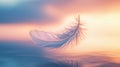A delicate feather floats above a calm, reflective surface Royalty Free Stock Photo