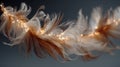 Delicate Feather with Glowing Lights on a Soft Gray Background Royalty Free Stock Photo