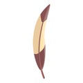 Delicate feather icon, cartoon style