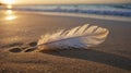 Gentle Touch: A White Feather on the Golden Sand at Sunset by the Sea Royalty Free Stock Photo