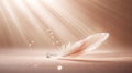 Diamond Ring and Feather with Soft Light Rays and Sparkles Royalty Free Stock Photo