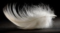 Delicate Feather Texture Close Up Against Dark Background Royalty Free Stock Photo