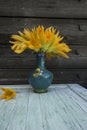 Delicate fine yellow delicious zucchini flowers