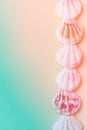 Delicate flat white striped sea shells arranged in border on gradient duotone pastel pink turquoise background. Tropical theme