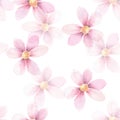 Delicate floral background. Seamless pattern 3