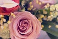 Roses in a close up