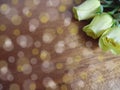 Delicate floral corner frame with yellow roses, wooden background bokeh Royalty Free Stock Photo