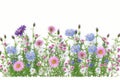 Delicate floral horizontal pattern, meadow flowers. blue daisy, pink kosmeya. Wildflowers,