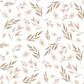 delicate floral and floral pattern. background or texture Royalty Free Stock Photo