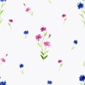 Pink and blue cornflowers seamless pattern on a white background