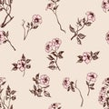 Delicate floral pattern Royalty Free Stock Photo