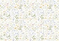 Delicate floral pattern wallpaper Royalty Free Stock Photo
