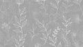 Delicate floral pattern with white outlines on a gray background Royalty Free Stock Photo