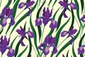 Seamless floral pattern, botanical wallpaper with purple iris flowers. Vector illustration Royalty Free Stock Photo