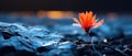 Delicate flower in bloom growing on harsh tundra rock cliff with bright orange petals - generative AI