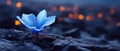 Delicate flower in bloom growing on harsh tundra rock cliff with violet blue petals - generative AI