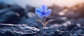 Delicate flower in bloom growing on harsh tundra rock cliff with violet blue petals - generative AI