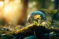 Delicate Flower Blooming Inside a Transparent Glass Sphere in a Serene Forest at Sunrise Royalty Free Stock Photo