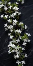 Delicate Flowers On Frosted Branches A Stunning Tabletop Photography