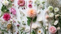 Delicate flowers of ranunculus, dahlia and rose are arranged to make a wedding bouquet. White tulip and gypsophila Royalty Free Stock Photo