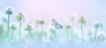 Delicate flowers of white clover and butterfly in pastel colors. Royalty Free Stock Photo