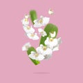 Delicate flying branches of white Phalaenopsis orchid flowers, green leaves on pink background. Tropical Floral background, card