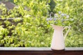 Delicate forget-me-not flowers in a white jug on a green summer background. Copy space Royalty Free Stock Photo