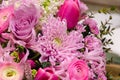 Delicate fresh bouquet of fresh flowers with pink Ranunculus, rose, astra and chrysanthemum. Royalty Free Stock Photo