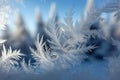 Delicate frost patterns glistening on a windowpane with a soft blurred winter landscape visible in the background under a clear Royalty Free Stock Photo