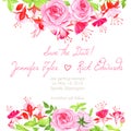 Delicate fuchsia, roses floral design frame vector element Royalty Free Stock Photo