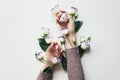 Delicate hands and spring flowers of eustoma are on the white table. the concept of skin care. Natural cosmetics for hand skin Royalty Free Stock Photo