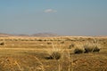 Delicate haze of morning mist over the valley. hilly landscape. Savannah, grassland . Royalty Free Stock Photo