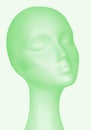 Delicate head female mannequin