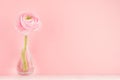 Delicate home decor with pink buttercup flower on white wood table, festive background for design for gift, holiday, Valentine`s