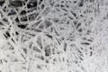 Delicate, ice crystal formation, winter Royalty Free Stock Photo