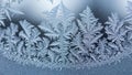 The delicate ice crystals form symmetrical branching shapes showcasing a Royalty Free Stock Photo