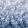 Delicate ice crystals with intricate hexagonal patterns create a frosty Royalty Free Stock Photo