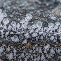 The natural beauty and complexity of ice crystal formation in a Royalty Free Stock Photo