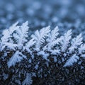 Highlights the complexity and beauty of ice formation with the Royalty Free Stock Photo