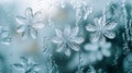 Delicate Ice Flower Frost Patterns on Window Royalty Free Stock Photo