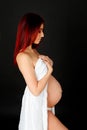 Delicate image of a pretty pregnant woman Royalty Free Stock Photo