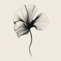 Delicate Ink Lines: A Graceful Black And White Flower Illustration Royalty Free Stock Photo