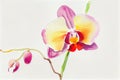 A delicate and intricate illustration of a beautiful orchid flower, with its slender stem, delicate petals, and vibrant