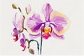 A delicate and intricate illustration of a beautiful orchid flower, with its slender stem, delicate petals, and vibrant