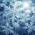 Delicate, intricate snowflakes create a mesmerizing pattern against a cool, blue-tinted background. Royalty Free Stock Photo