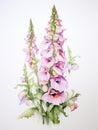 Delicate and Inviting Watercolor Foxglove Flowers AI Generated