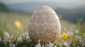 Delicate Lace Decorated Easter Egg In Spring Meadow Royalty Free Stock Photo
