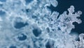 The delicate lacelike structure of this biofilm evokes images of intricate snowflakes or delicate lace doilies. . AI