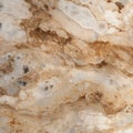 Delicate Landscapes: A Slimy Marble With Beige Stone