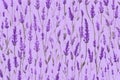 Delicate Lavender flower pattern background. Generative AI